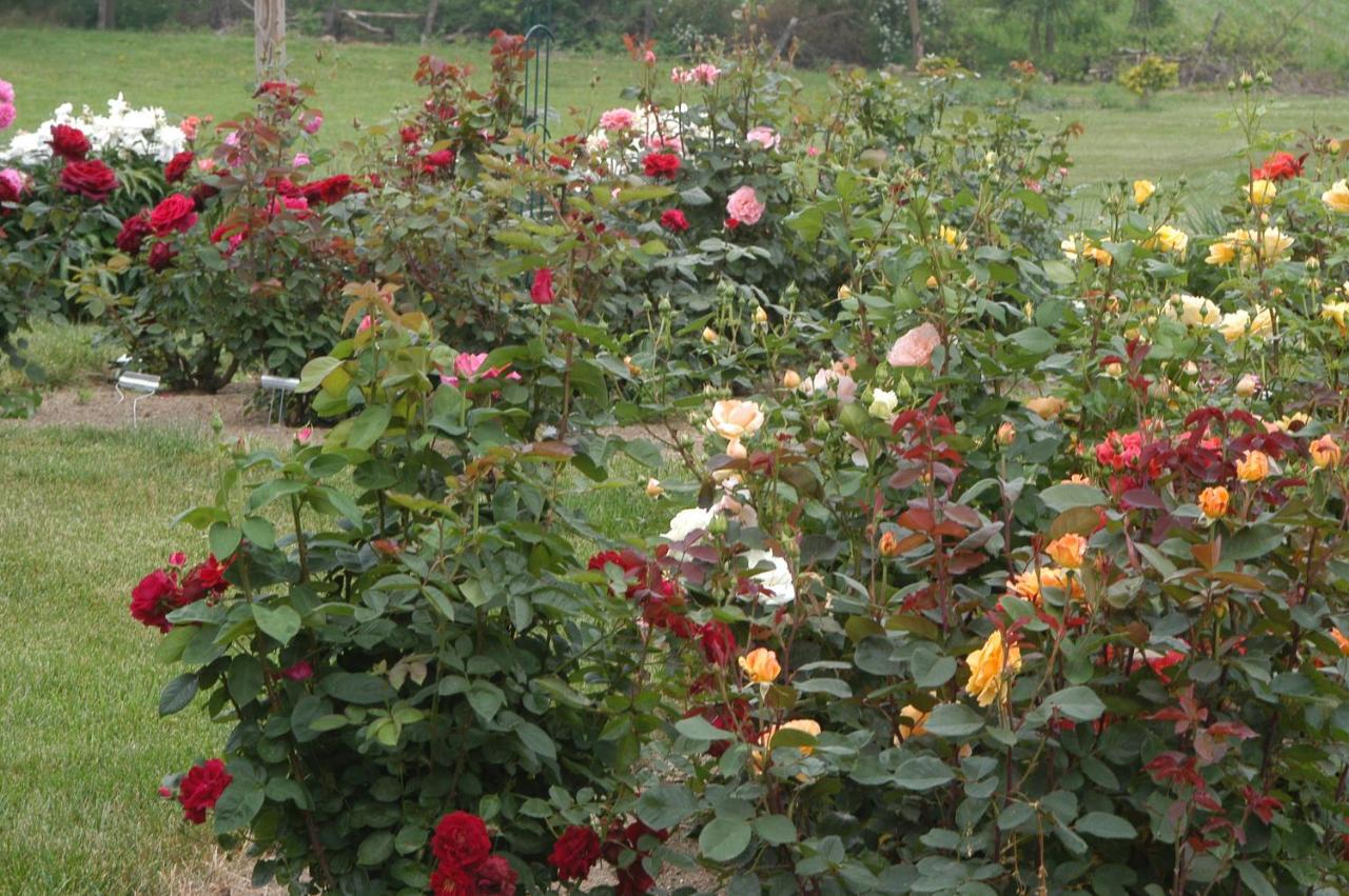 Annville Inn Bed & Breakfast Экстерьер фото